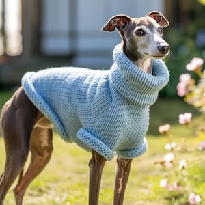 May include: A light blue knitted dog sweater with a turtleneck collar. The sweater is worn by a slender, short-haired dog with brown and gray fur, standing in a sunny garden with pink flowers.