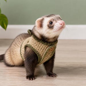 Peut inclure: Un furet portant un harnais en crochet beige avec une bordure vert foncé et un petit bouton en bois. Le harnais est ajusté autour du torse du furet, qui présente un pelage brun foncé sur les pattes et la queue, ainsi qu'une face claire.