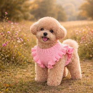 以下が含まれることがあります： ピンク色のフリル付きかぎ針編みセーターを着た、小さな薄茶色の犬。犬は草と花が咲く野原に立っており、背景には木々と葉がぼやけています。