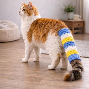 May include: A fluffy, orange and white cat with a blue, yellow, and white striped crocheted tail cover. The cat is standing on a wooden floor, looking up. The tail cover is a unique, handmade accessory.
