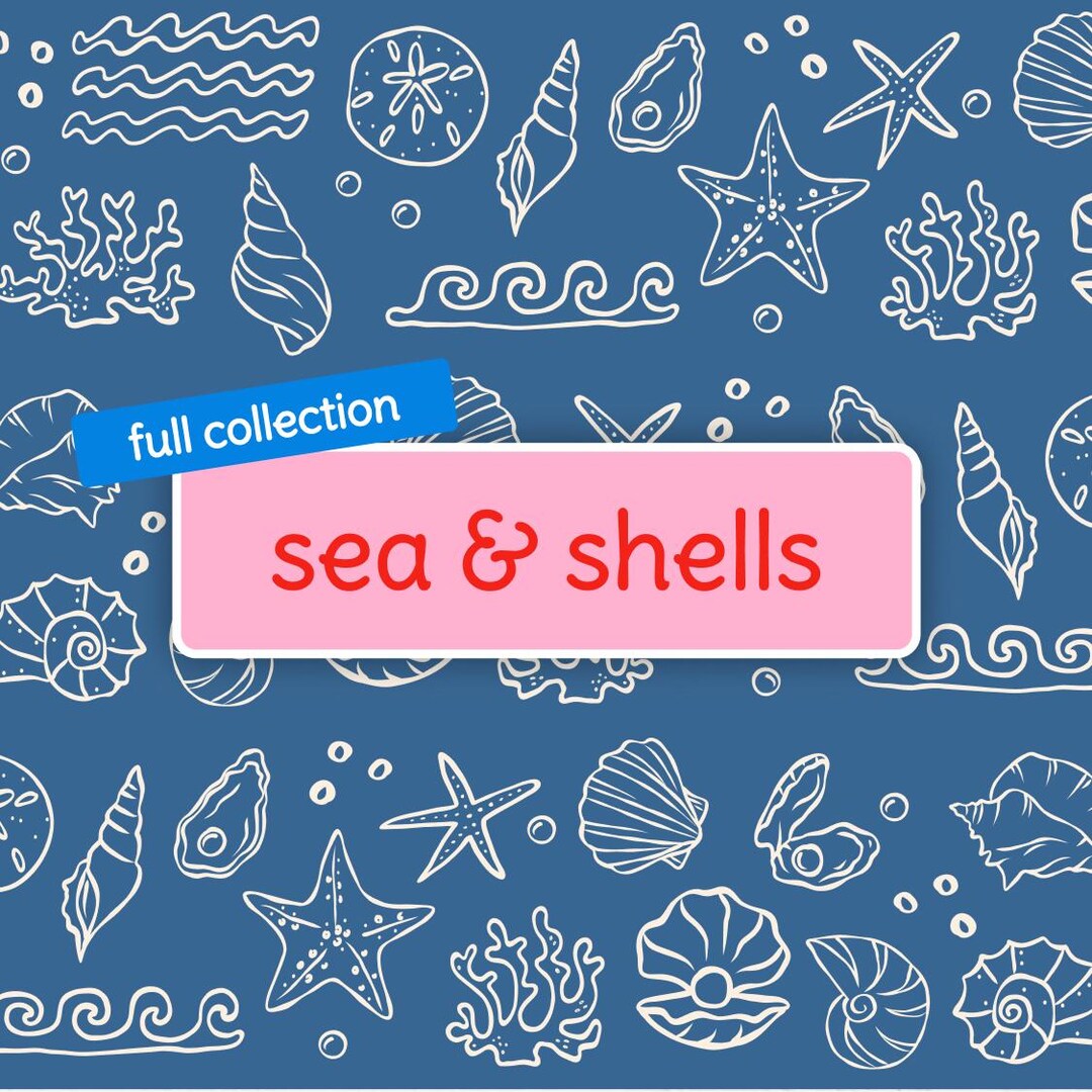 Shell Classroom Sea & Shells Classroom Decor Collection | Ocean - Etsy