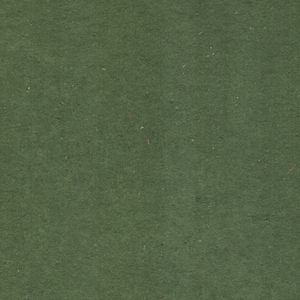 May include: A solid green textured paper background.
