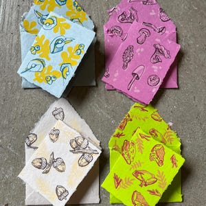 Greeting Card on Handmade Paper - Deckle Edge Cotton Rag Paper Greeting Card - Acorn, Bird, Frog, Mushroom