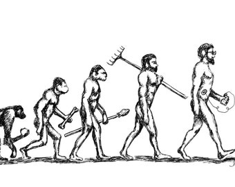 Evolution of the Species