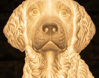 Boykin Spaniel Dog Luminary Night Light thumbnail 4