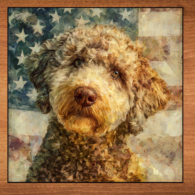 Lagotto Romagnolo handcrafted in Knoxville
