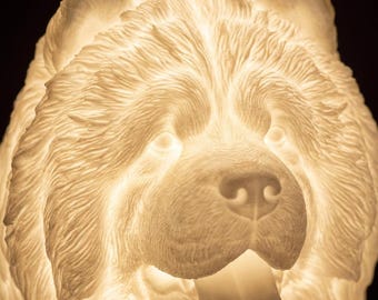 Chow Chow Dog Luminary Night Light thumbnail 4