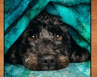 Portuguese Water Dog Under the Blanket Ceramic Tile thumbnail 1