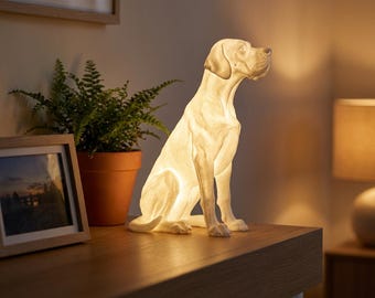 Great Dane Dog Luminary Night Light thumbnail 3