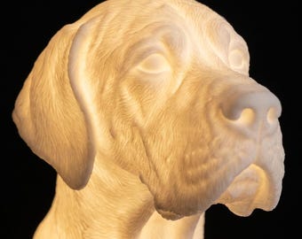 Great Dane Dog Luminary Night Light thumbnail 4
