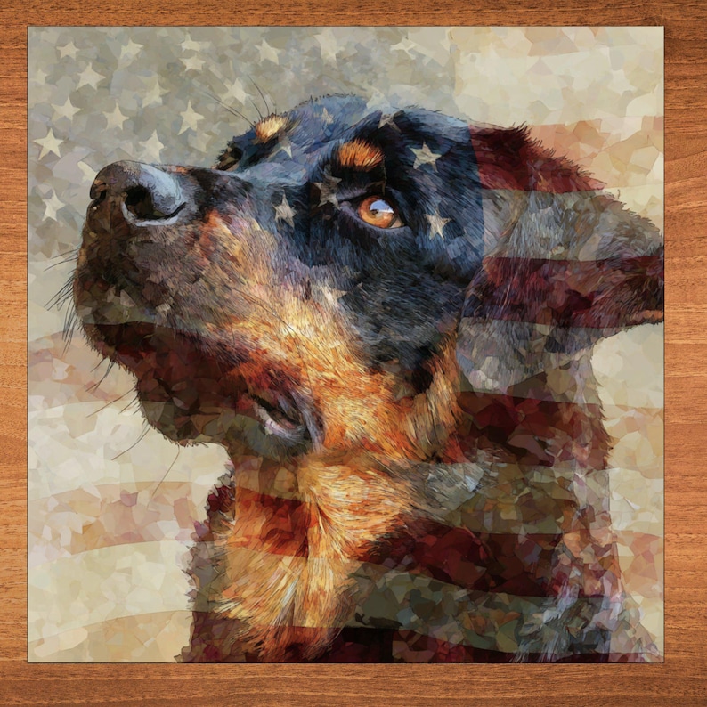 Beauceron handcrafted in Knoxville