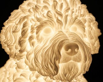 Bichon Frise Dog Luminary Night Light thumbnail 4