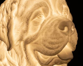 Saint Bernard Dog Luminary Night Light thumbnail 4