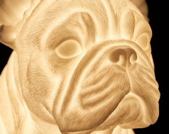 French Bulldog Dog Luminary Night Light thumbnail 4