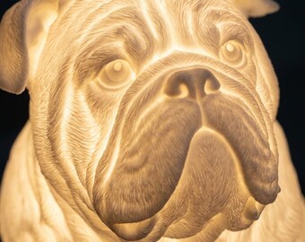 English Bulldog Dog Luminary Night Light thumbnail 4