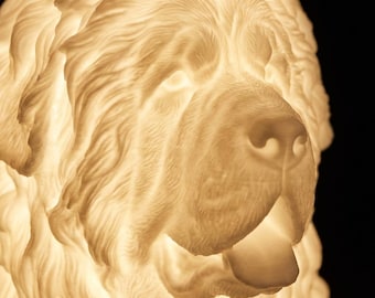 Tibetan Mastiff Dog Luminary Night Light thumbnail 4