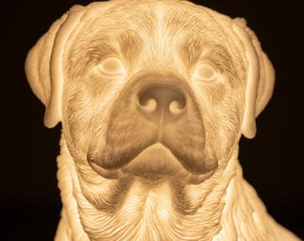 Rottweiler Dog Luminary Night Light thumbnail 4