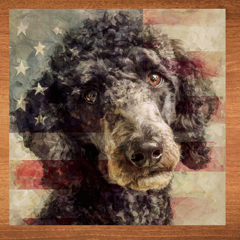 Standard Poodle handcrafted in Knoxville