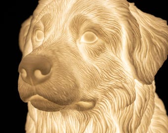 Australian Shepherd Dog Luminary Night Light thumbnail 4
