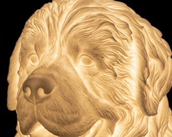 Newfoundland Dog Luminary Night Light thumbnail 4