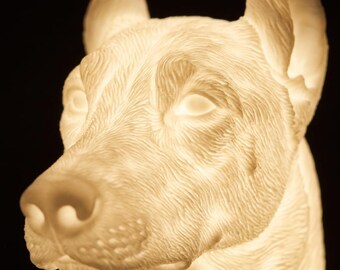 Doberman Pinscher Dog Luminary Night Light thumbnail 4