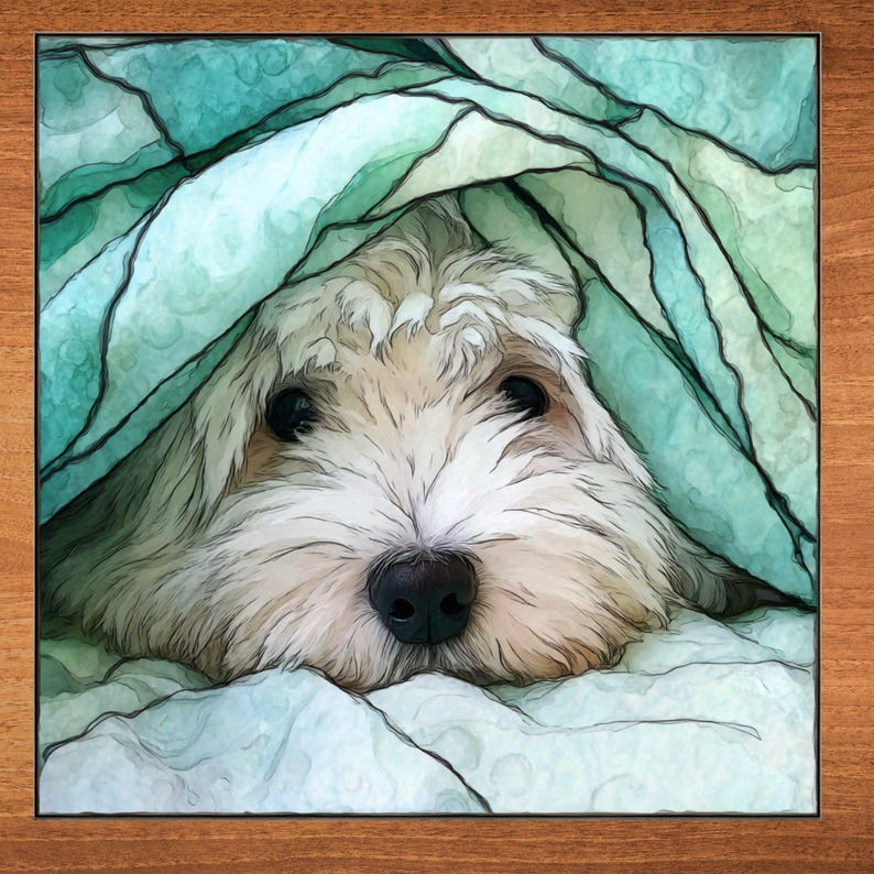 Coton de Tulear handcrafted in Knoxville