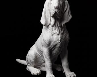 Bloodhound Realistic Seated Dog Statue thumbnail 2