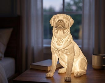 Rottweiler Dog Luminary Night Light thumbnail 1