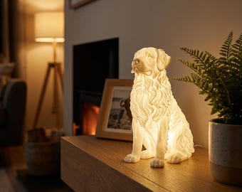 Bernese Mountain Dog Dog Luminary Night Light thumbnail 3