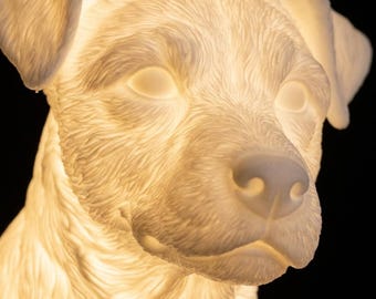 Jack Russell Terrier Dog Luminary Night Light thumbnail 4