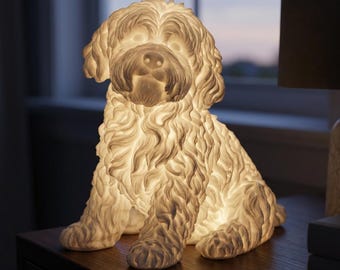 Maltipoo Dog Luminary Night Light thumbnail 1