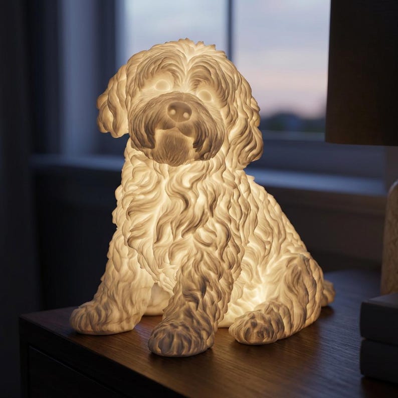 Maltipoo handcrafted in Knoxville