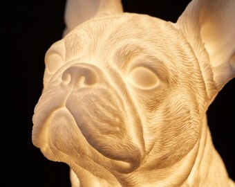 Boston Terrier Dog Luminary Night Light thumbnail 4