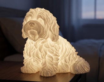 Coton de Tulear Dog Luminary Night Light thumbnail 1