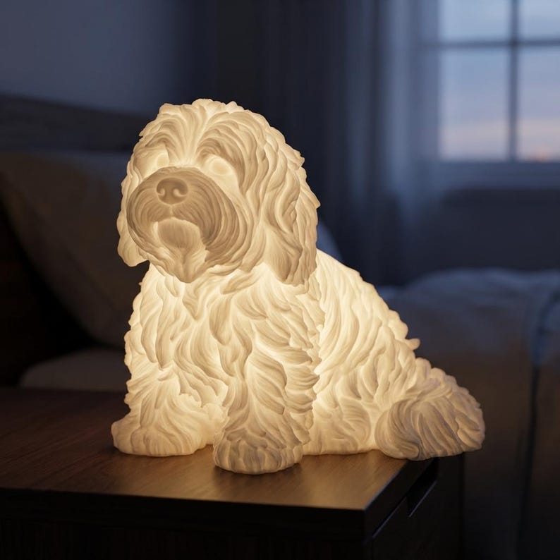 Coton de Tulear handcrafted in Knoxville