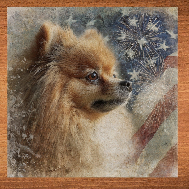 Pomeranian handcrafted in Knoxville