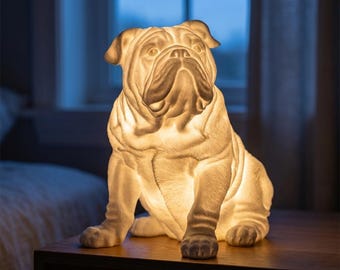 English Bulldog Dog Luminary Night Light thumbnail 1