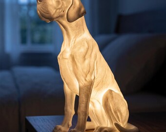 Great Dane Dog Luminary Night Light thumbnail 1