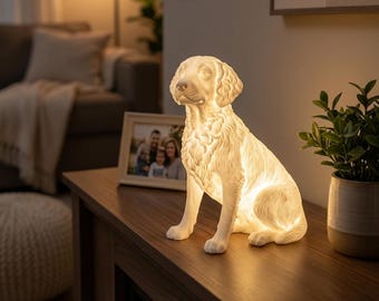 Boykin Spaniel Dog Luminary Night Light thumbnail 3