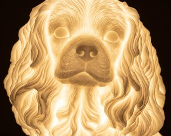 Cavalier King Charles Spaniel Dog Luminary Night Light thumbnail 4