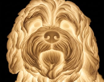 Coton de Tulear Dog Luminary Night Light thumbnail 4