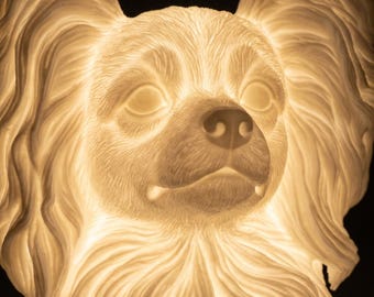 Papillon Dog Luminary Night Light thumbnail 4