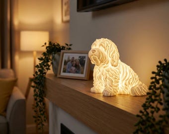 Coton de Tulear Dog Luminary Night Light thumbnail 3