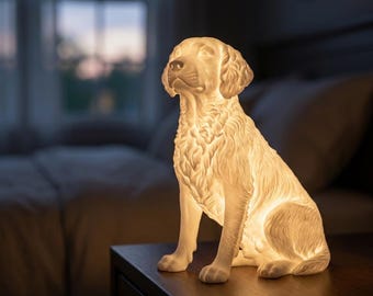 Boykin Spaniel Dog Luminary Night Light thumbnail 1