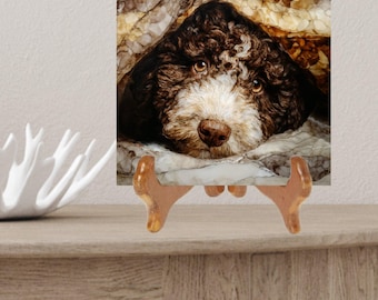 Lagotto Romagnolo Under the Blanket Ceramic Tile thumbnail 2