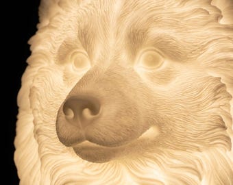 Pomsky Dog Luminary Night Light thumbnail 4