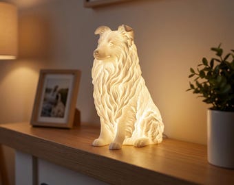 Shetland Sheepdog Dog Luminary Night Light thumbnail 3