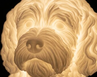 Cockapoo Dog Luminary Night Light thumbnail 4