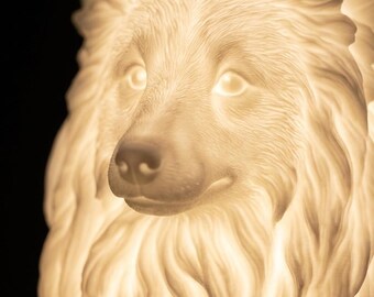 Shetland Sheepdog Dog Luminary Night Light thumbnail 4