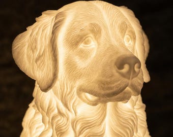 Bernese Mountain Dog Dog Luminary Night Light thumbnail 4